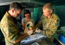 Disaster relief compromising ADF