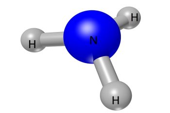 Ships To Be Powered By Hydrogen And Ammonia: Iea 