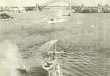 The ANI at 50: The Gulf War