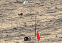 RNZAF finds sailors after yacht hits whale
