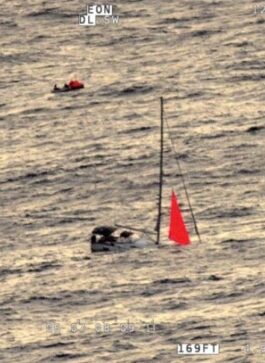 RNZAF finds sailors after yacht hits whale