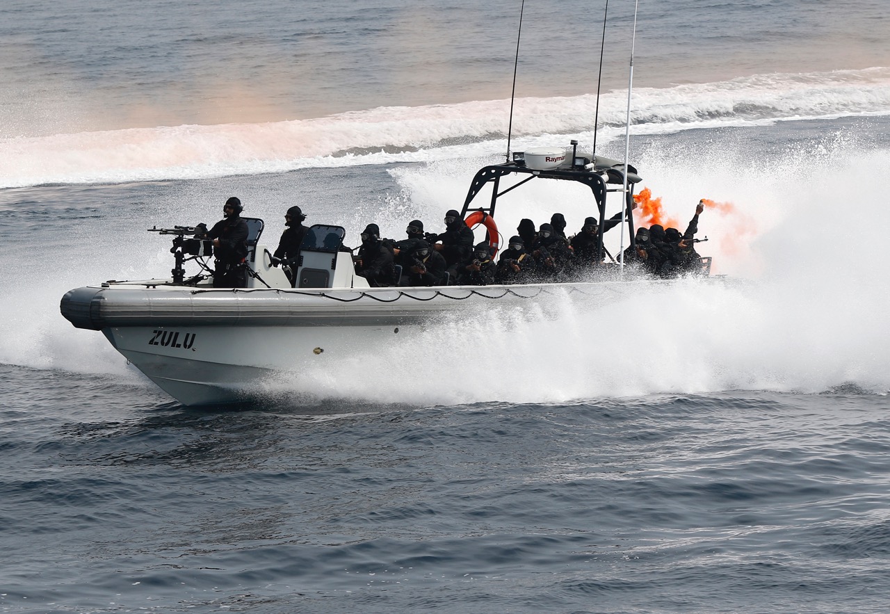 Photos from the recent International Fleet Review in India | Australian ...