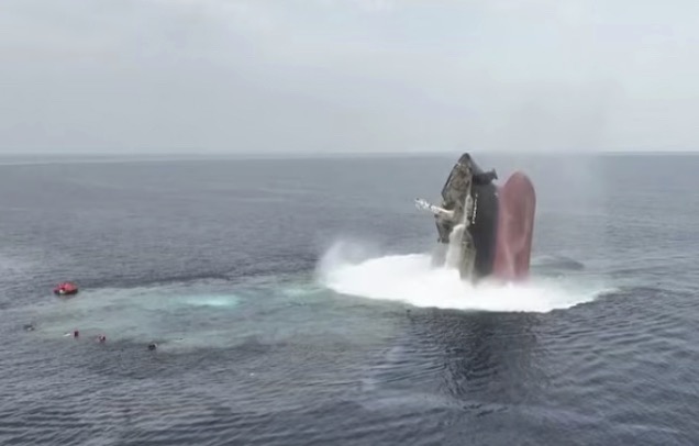 Eternity C sinks