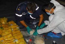 RNZN leads drug bust