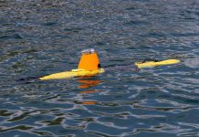 Some weird gems in the Strategic Update