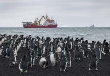 HMS Protector’s Antarctic mission