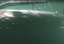 Virtual dive on WWII Japanese sub wreck