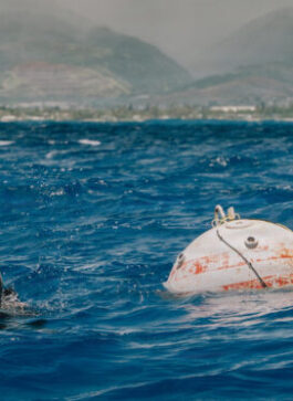 Mine clearance ability still vital