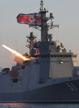 N Korea’s new anti-ship missile