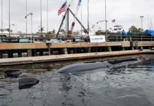 Huge journey for uncrewed submarine