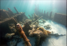 Naval shipwreck time bombs