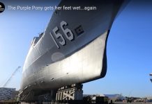 Purple Pony back in the water