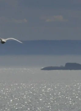 Russians snooping on UK and Norway