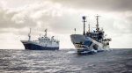 sea-shepherd