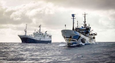 Sea Shepherd vessels the Atlas Cove (left) and the Bob Barker patrolling the Southern Ocean. (Photo: Simon Ager/Sea Shepherd Global)