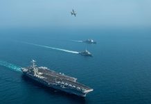 Bigger fleet and bigger Navy share sought