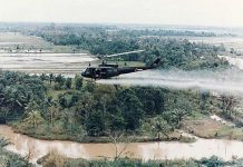 Agent Orange link to dementia risk, RAN vets affected