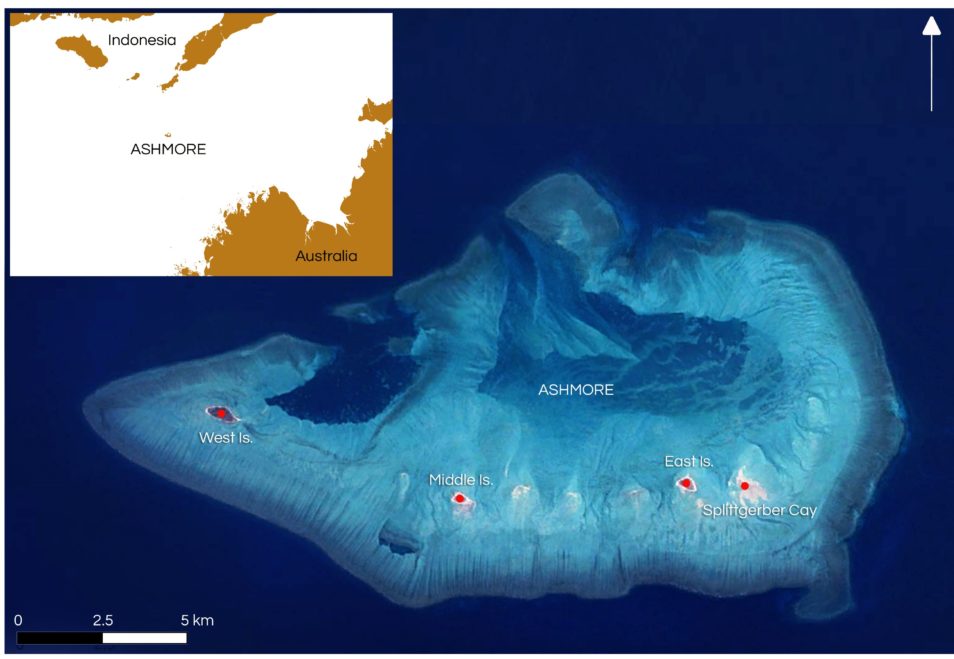 Ashmore Reef a maritime headache The Australian Naval Institute