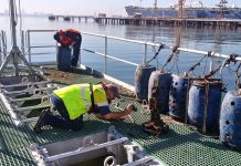 Australian research into biofilms