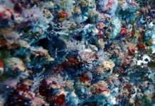 Technology propels RN to efficiency