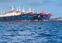 China’s fishing reality check