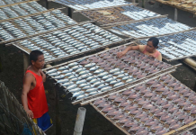 Rights, law and order at sea