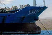 Huge Chinese fishing fleet off Galapagos