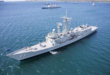 RAN linked to two whale deaths