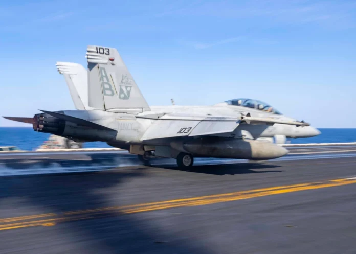 hornet lands
