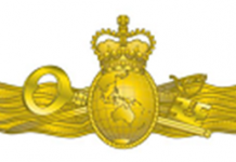 New naval intelligence badge