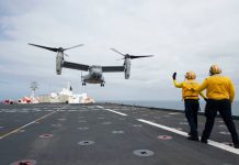 Osprey lands on Mercy