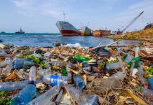 Shared governance could save the oceans