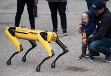 Role of robotic ‘dogs’ to quell danger