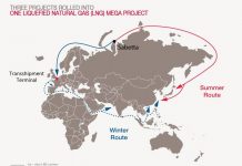 Russian gas takes the Arctic route