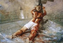 Sheean VC case: awards tribunal head takes issue with Minister