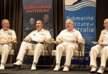Importance of the N-subs program