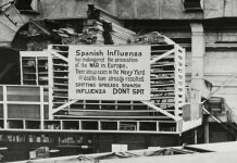The Navy and the Spanish flu