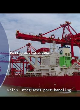 China using all levers to keep Darwin Port