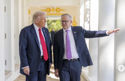 trump alb