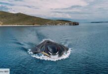 Ukraine’s new Black Sea sub